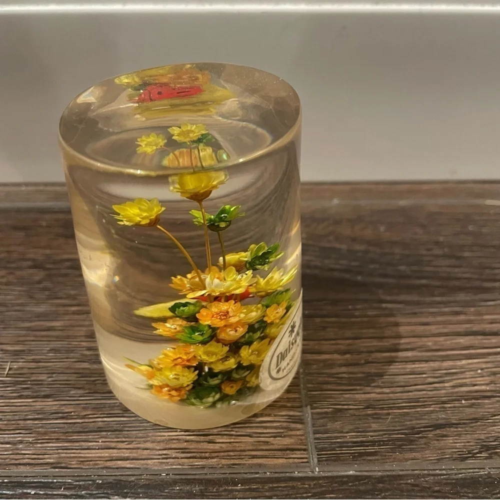 Vintage Daisyglas Company 50s/60s MCM Lucite/Acrylic Floral/Ladybug Paperweight